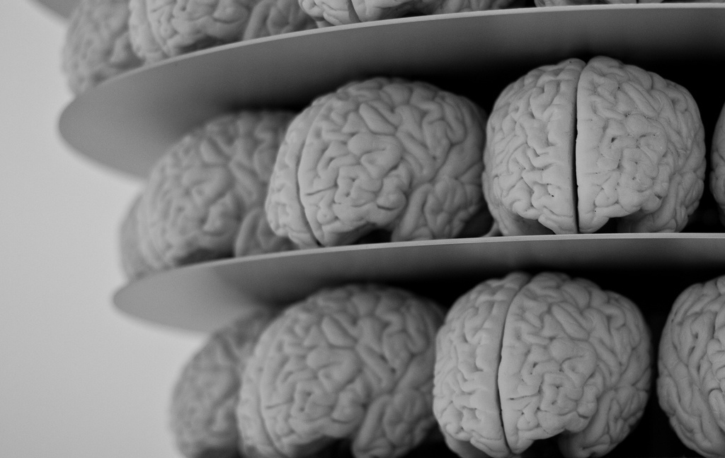 CMO 2.0 – Making IT Decisions with a Marketing Brain