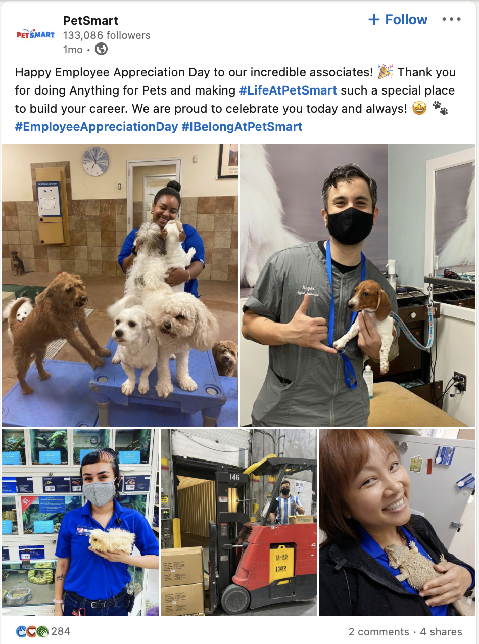 Petsmart employer branding retain employees